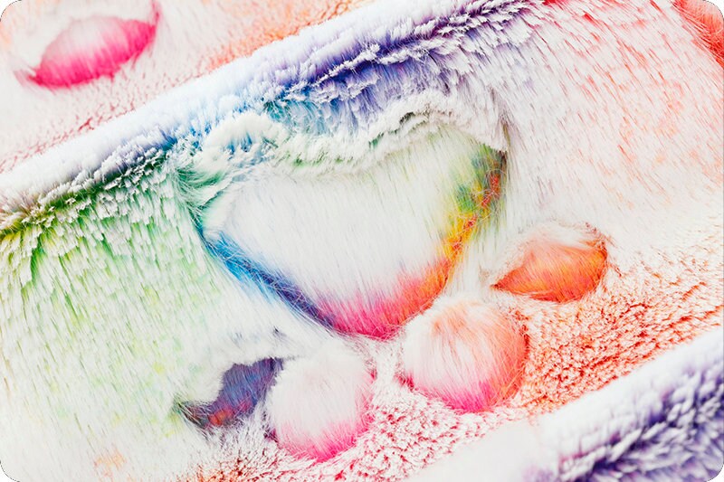 LUXE RAINBOW PAWS Vibrant - Rainbow Paws Vibrant Shannon Luxe Cuddle Minky Rainbow Paws - Shannon Luxe Cuddle Embossed Paws Rainbow Vibrant